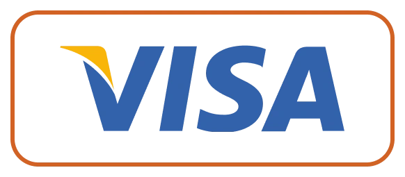 Ringospin Visa Payments for Fast and Secure Deposits